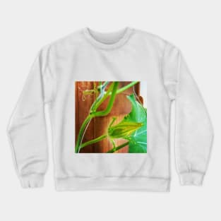 Pumpkin Blossom Crewneck Sweatshirt